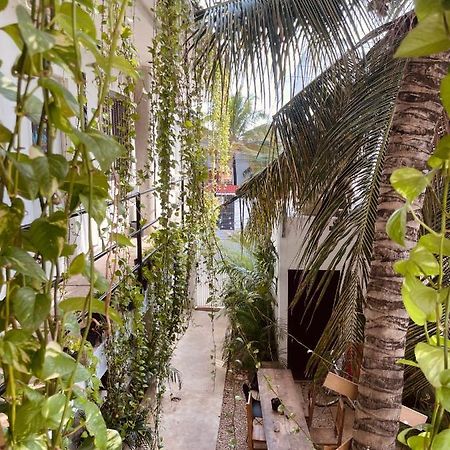 Anana Coliving Hotell Playa del Carmen Exteriör bild