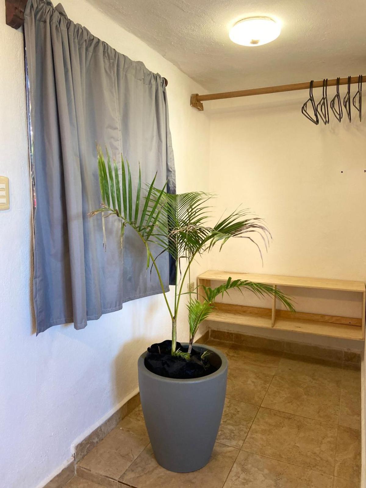 Anana Coliving Hotell Playa del Carmen Exteriör bild
