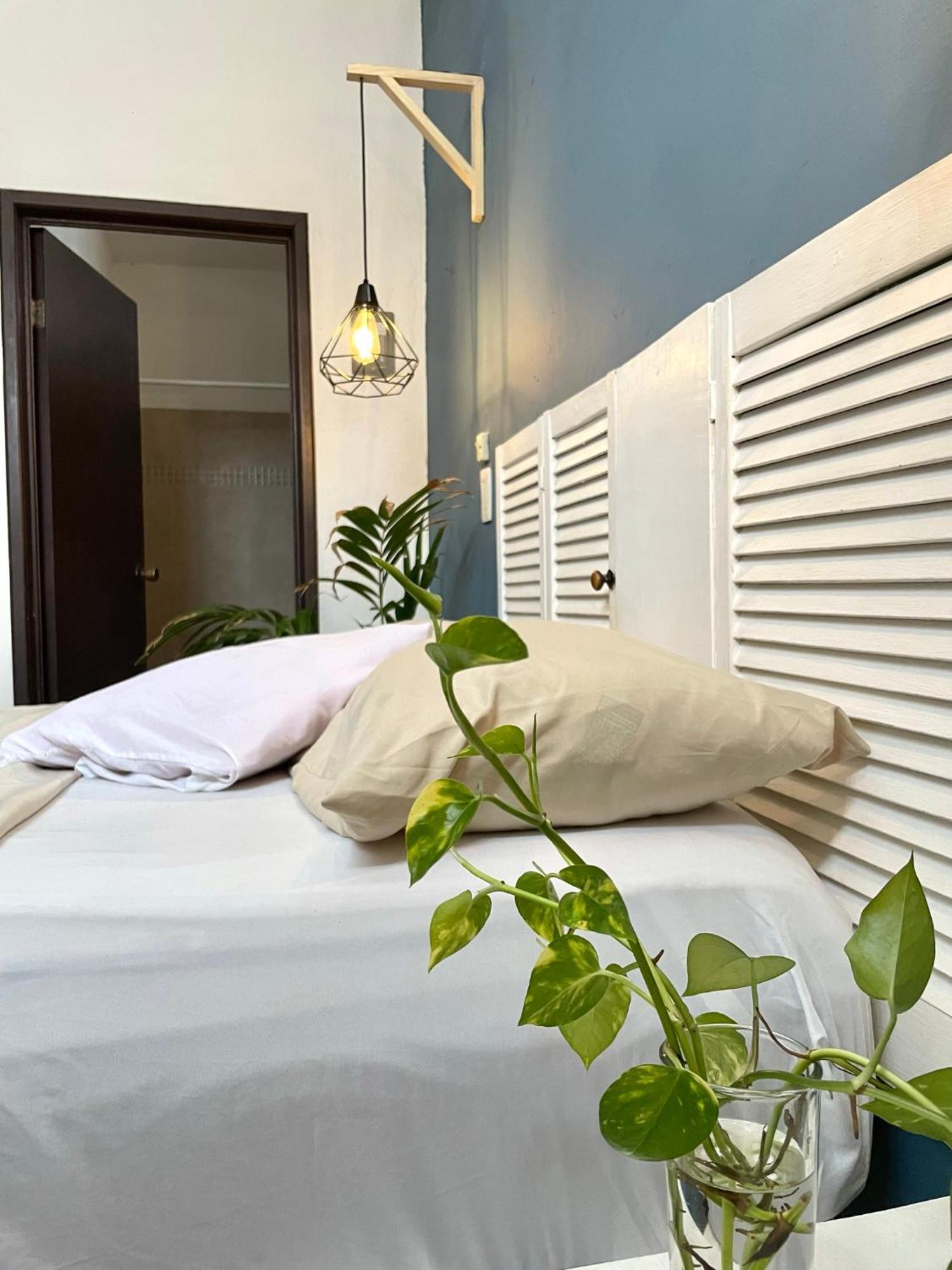 Anana Coliving Hotell Playa del Carmen Exteriör bild